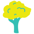 Brocoli